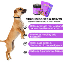 Load image into Gallery viewer, Pet Logic Strong Bones & Joints for Dogs & Cats