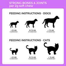 Load image into Gallery viewer, Pet Logic Strong Bones & Joints for Dogs & Cats