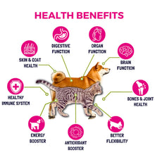 Load image into Gallery viewer, Pet Logic 10-in-1 Multivitamins for Dogs & Cats