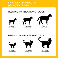 Load image into Gallery viewer, Pet Logic Skin & Coat Health for Dogs & Cats