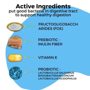 Pet Logic Probiotic Digestive Health for Dogs & Cats