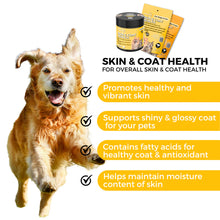 Load image into Gallery viewer, Pet Logic Skin &amp; Coat Health for Dogs &amp; Cats
