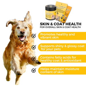 Pet Logic Skin & Coat Health for Dogs & Cats