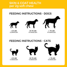 Load image into Gallery viewer, Pet Logic Skin &amp; Coat Health for Dogs &amp; Cats
