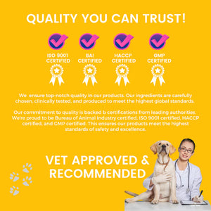 Pet Logic Skin & Coat Health for Dogs & Cats