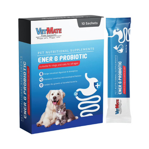 Ener G Probiotic Powder (per box)