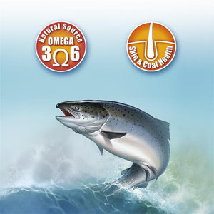 Arquivet Wild Scottish Salmon Oil