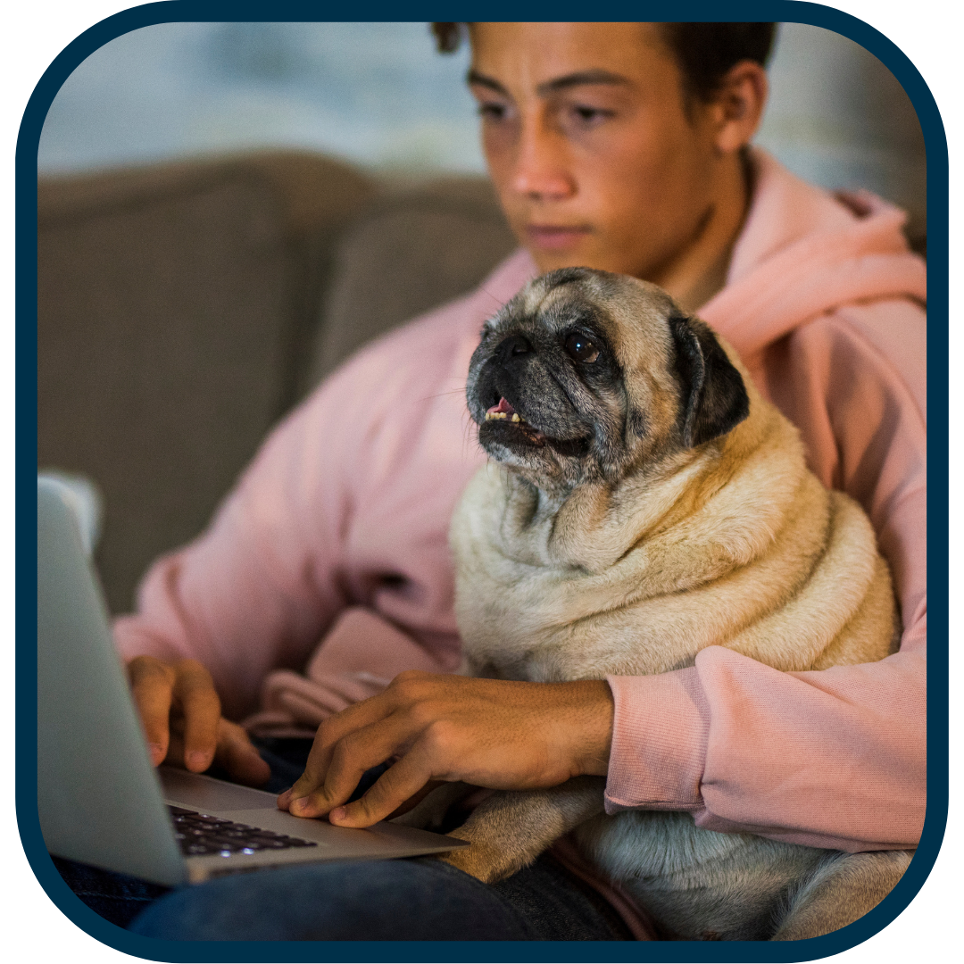 Online Class: Caring for Senior Dogs and Cats – ZIPPET